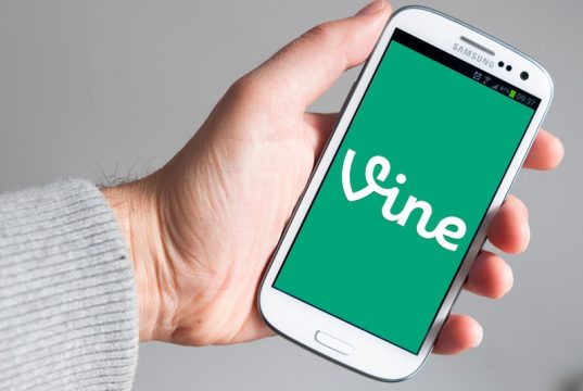 Vine