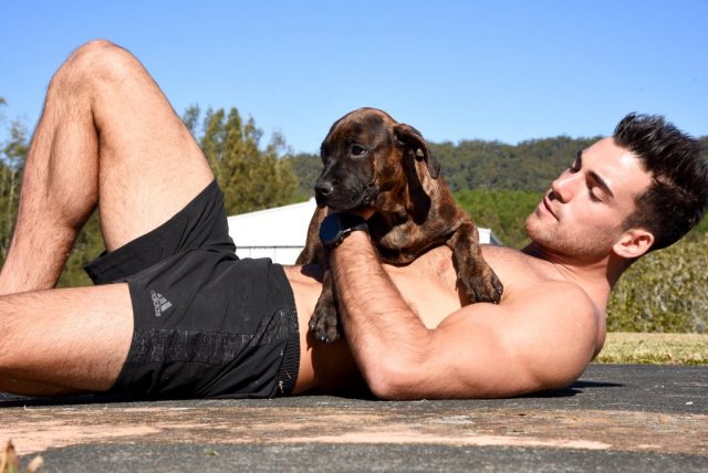 Charity event in Sydney including drinks, hot dudes and dogs
